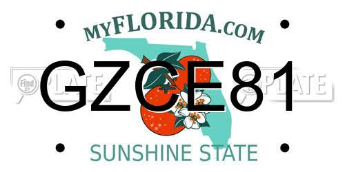 GZCE81 Florida License Plate