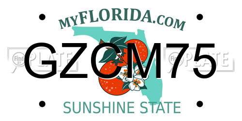 GZCM75 Florida License Plate