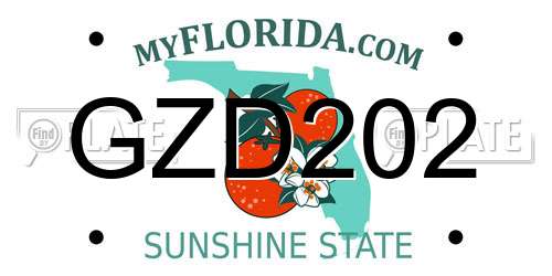 GZD202 Florida License Plate