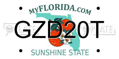 GZD20T Florida License Plate