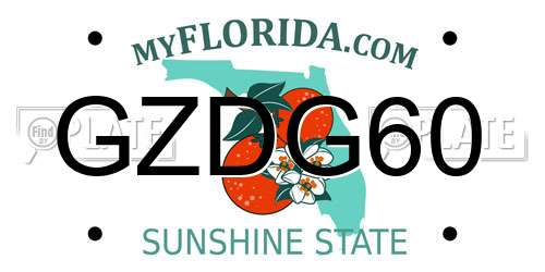 GZDG60 Florida License Plate