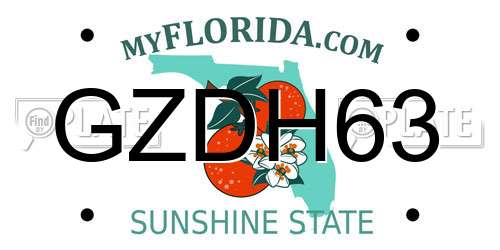 GZDH63 Florida License Plate