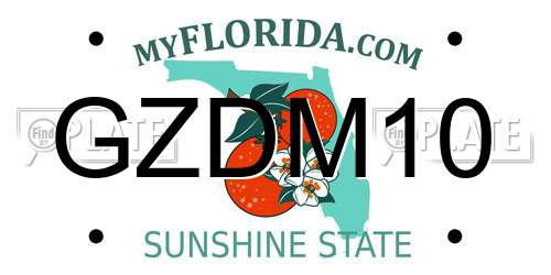 GZDM10 Florida License Plate