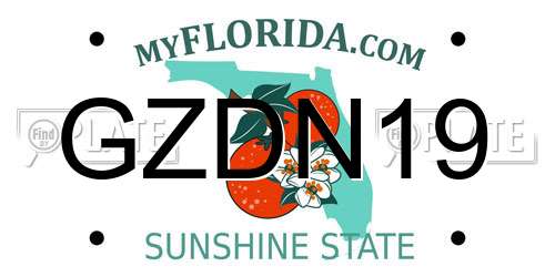 GZDN19 Florida License Plate