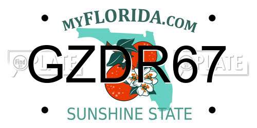 GZDR67 Florida License Plate