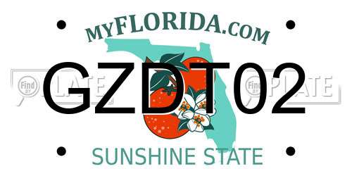 GZDT02 Florida License Plate