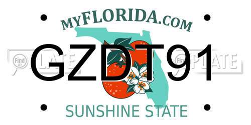 GZDT91 Florida License Plate