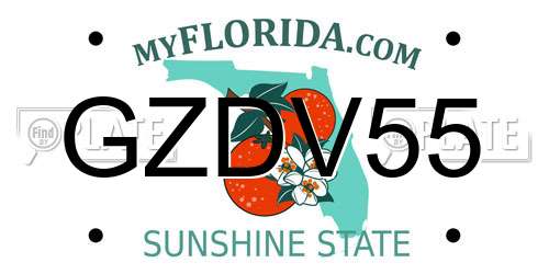 GZDV55 Florida License Plate