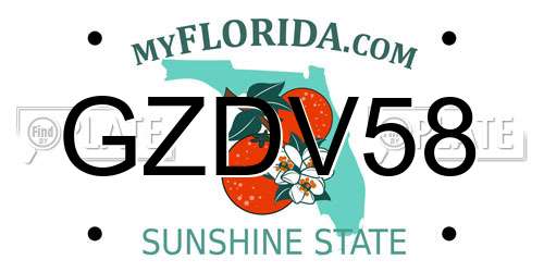 GZDV58 Florida License Plate