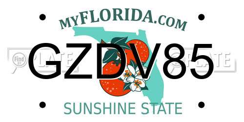 GZDV85 Florida License Plate