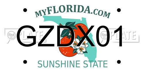 GZDX01 Florida License Plate
