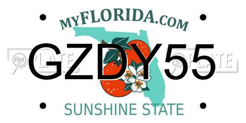 GZDY55 Florida License Plate