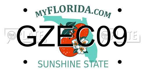 GZEC09 Florida License Plate