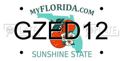 GZED12 Florida License Plate