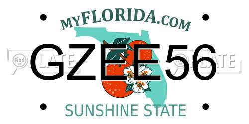 GZEE56 Florida License Plate