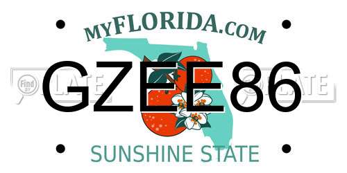 GZEE86 Florida License Plate