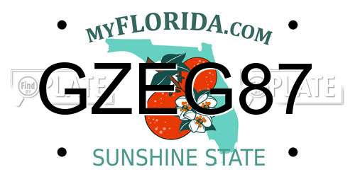 GZEG87 Florida License Plate