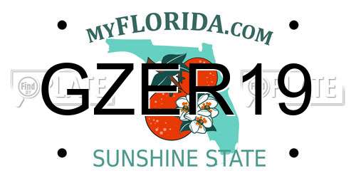 GZER19 Florida License Plate