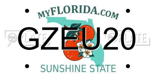 GZEU20 Florida License Plate