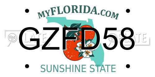 GZFD58 Florida License Plate