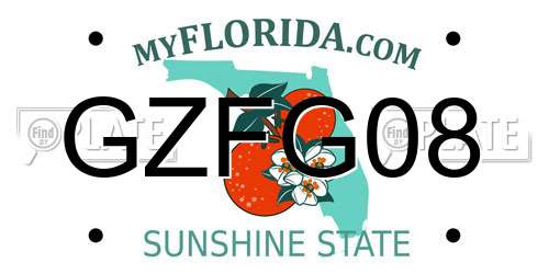 GZFG08 Florida License Plate