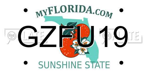 GZFU19 Florida License Plate