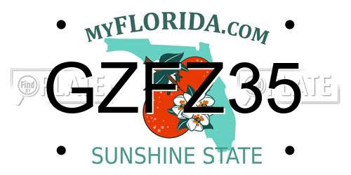 GZFZ35 Florida License Plate