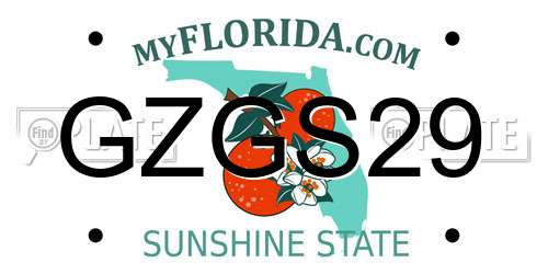 GZGS29 Florida License Plate