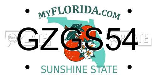 GZGS54 Florida License Plate