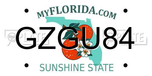 GZGU84 Florida License Plate