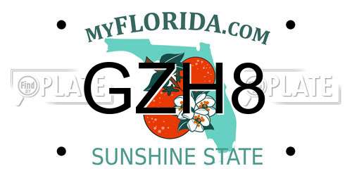 GZH8 Florida License Plate