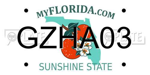 GZHA03 Florida License Plate