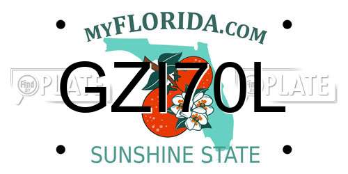 GZI70L Florida License Plate