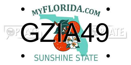 GZIA49 Florida License Plate