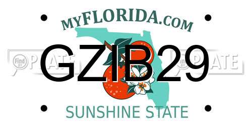 GZIB29 Florida License Plate
