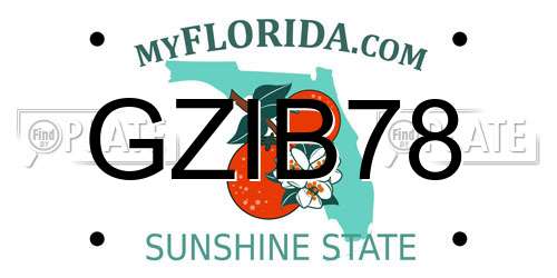 GZIB78 Florida License Plate