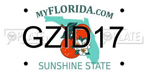 GZID17 Florida License Plate