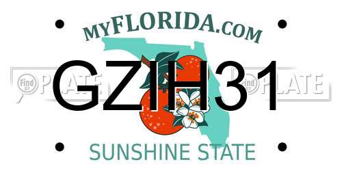 GZIH31 Florida License Plate