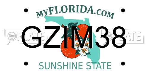 GZIM38 Florida License Plate