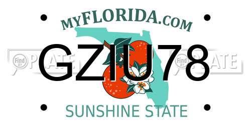 GZIU78 Florida License Plate