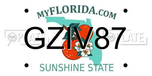 GZIV87 Florida License Plate