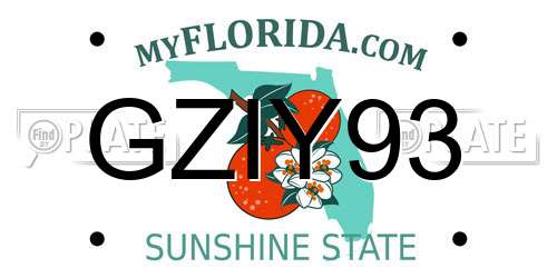 GZIY93 Florida License Plate
