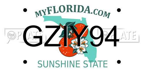 GZIY94 Florida License Plate