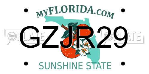GZJR29 Florida License Plate