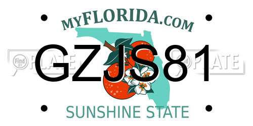 GZJS81 Florida License Plate