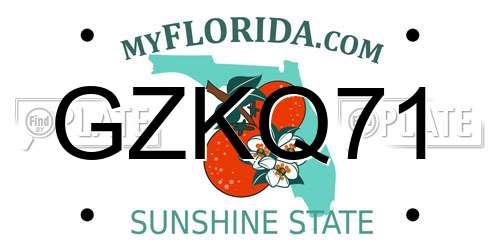 GZKQ71 Florida License Plate