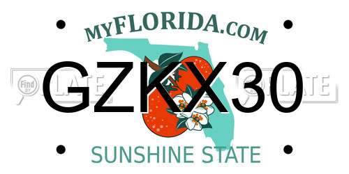 GZKX30 Florida License Plate