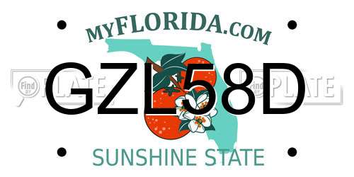 GZL58D Florida License Plate