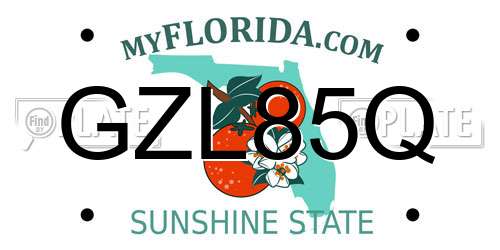 GZL85Q Florida License Plate