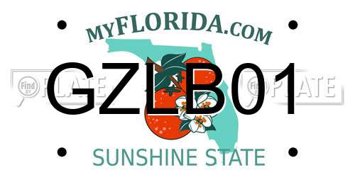 GZLB01 Florida License Plate